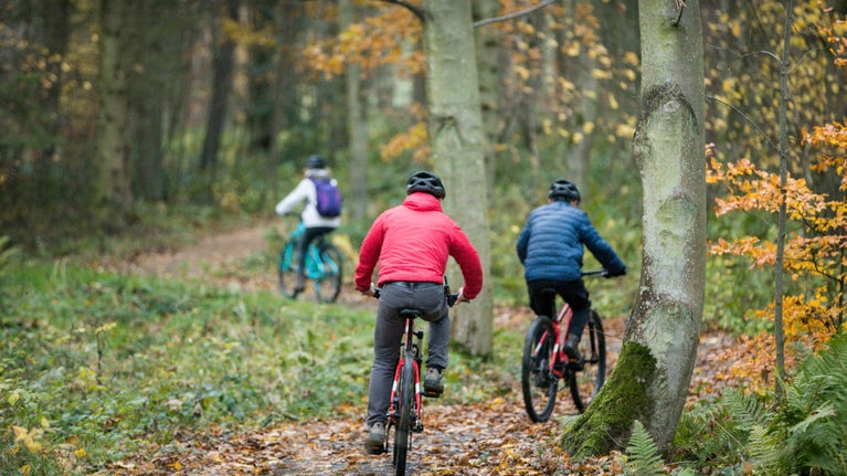 Cycling is the perfect way to explore the wider park